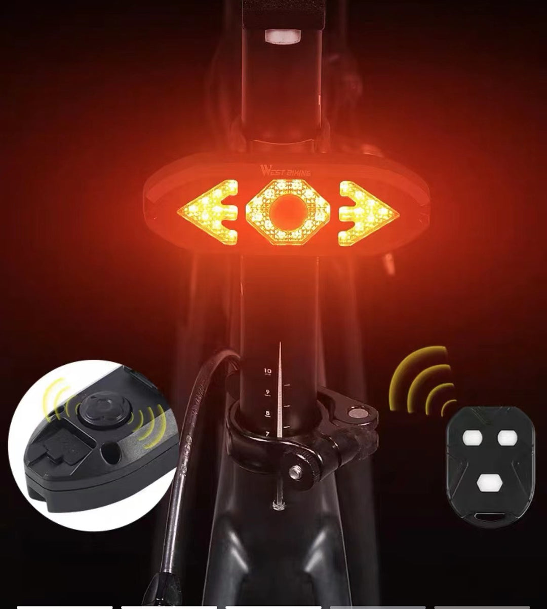 Turn Signal Tail Light