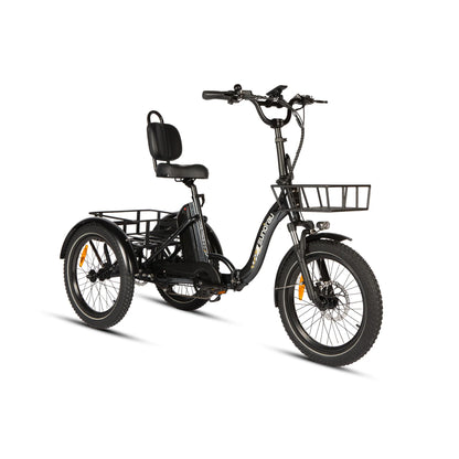 Eunorau One-Trike 2.0 | 500W Motor, Folding eTrike