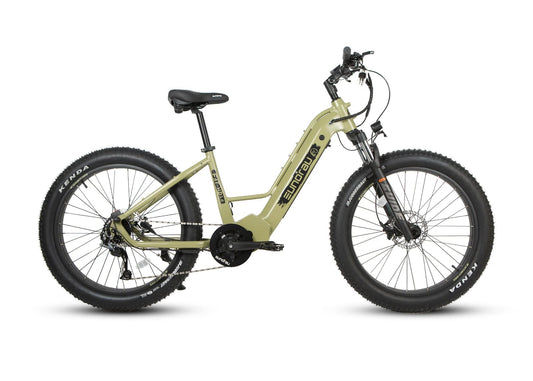 Eunorau Fat-HD Electric Mountain Bike