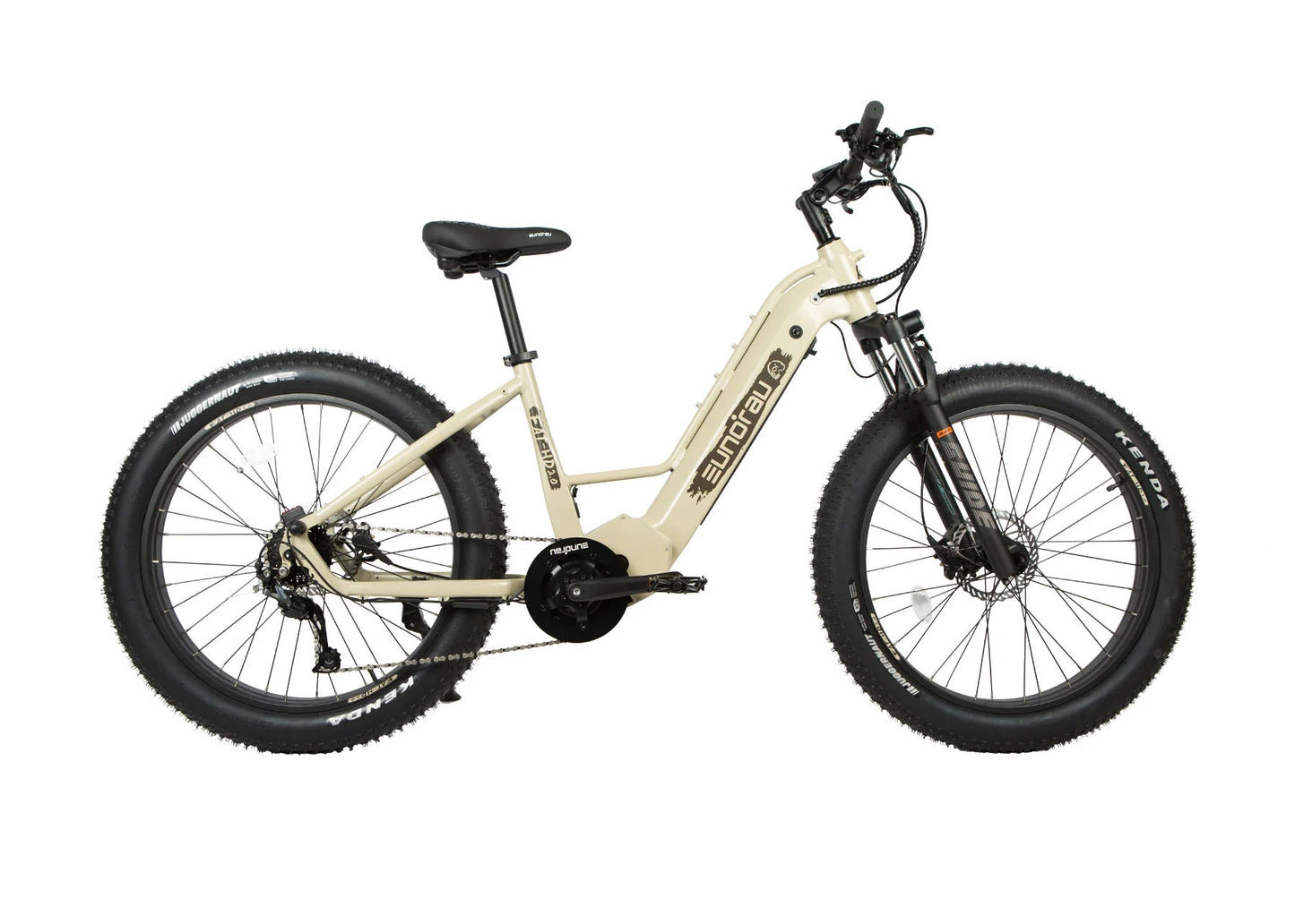 Eunorau Fat-HD Electric Mountain Bike
