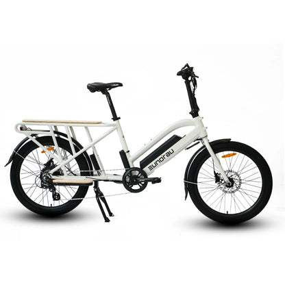 Eunorau MAX - CARGO 2.0 | 750W Motor, 80+ Mile Range Cargo Bike
