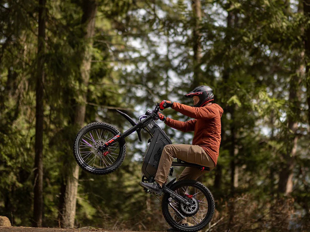 Freego X2 Pro All-Terrain Electric Dirt Bike | 6000W Motor. 50+ Miles Range