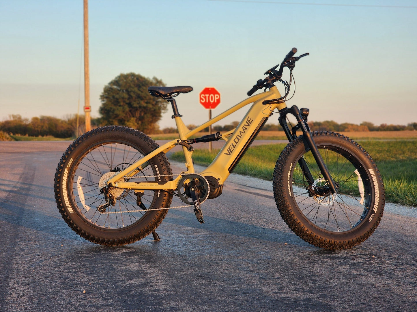 Velowave Brawny XM Mountain Electric Bike | 1000W motor