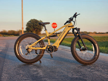 Velowave Brawny XM Mountain Electric Bike | 1000W motor